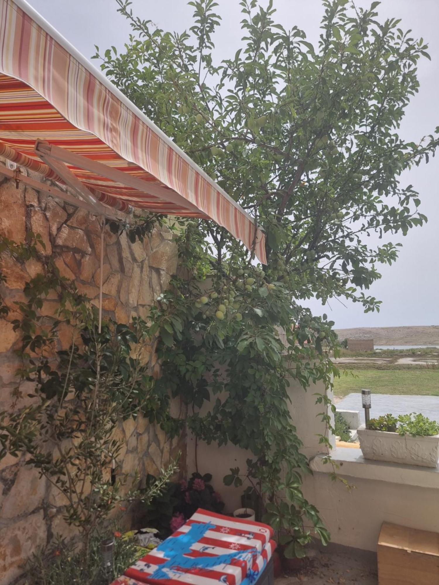 Apartmani Alen Dinjiska Luaran gambar